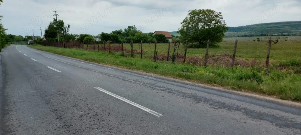 Teren de Vanzare-11.780 m -INTRAVILAN   Desc. ap.110 m Merei-Buzau