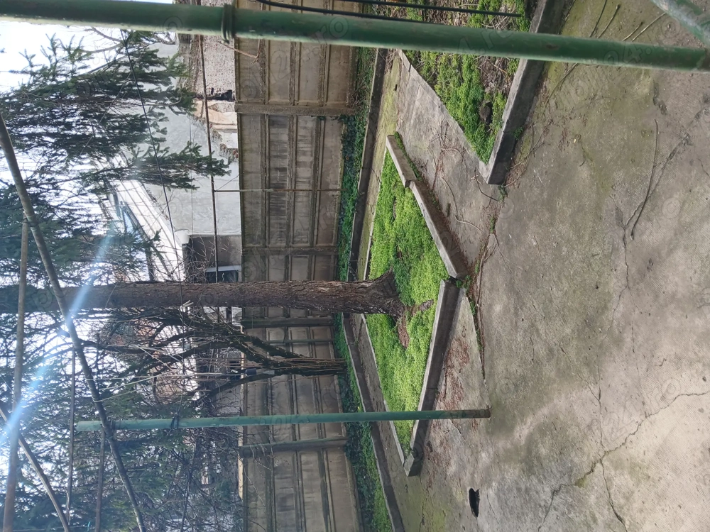 Proprietar vand urgent casa in zona f buna