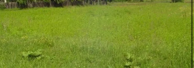 Inchiriez teren intravilan 800 mp Pitesti