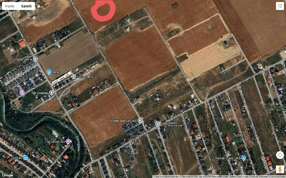 Vând teren în Domnesti, str.Ciocârliei str.Afinului