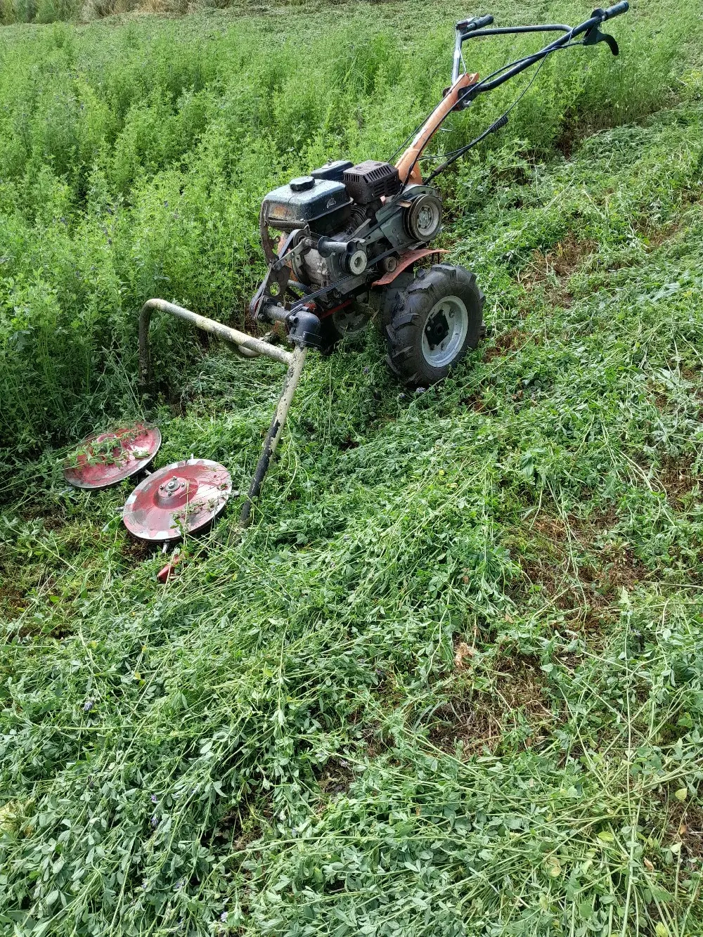 Cositoare pentru trifoi