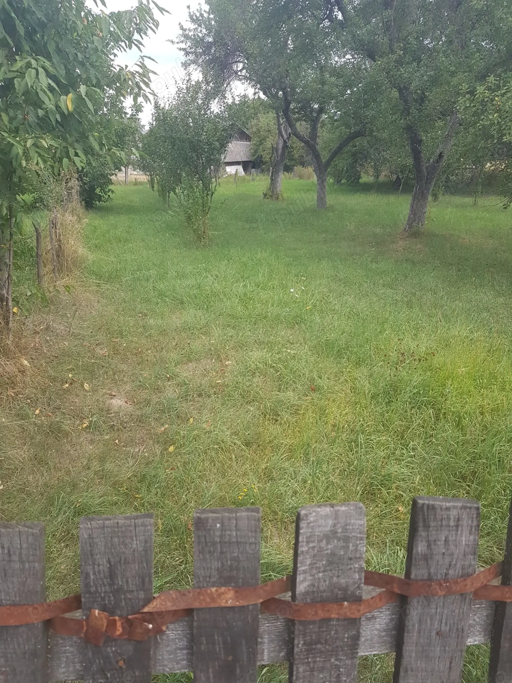 Teren Intravilan Jd. Argesi Loc. Domnesti 920 mp