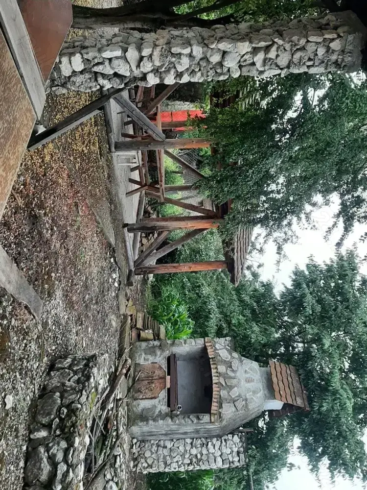 Case de vanzare la tara