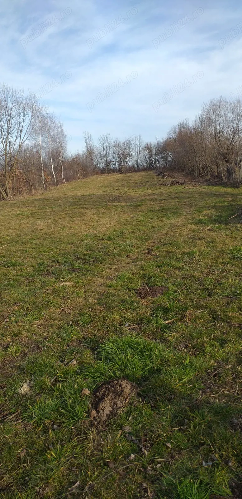 Teren Intravilan 2164 mp, Mărgineni, Com. Hârseni, jud. Brașov 