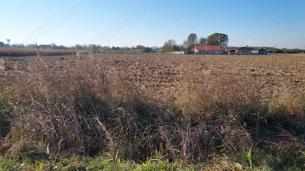 Vand teren intravilan - Bacia