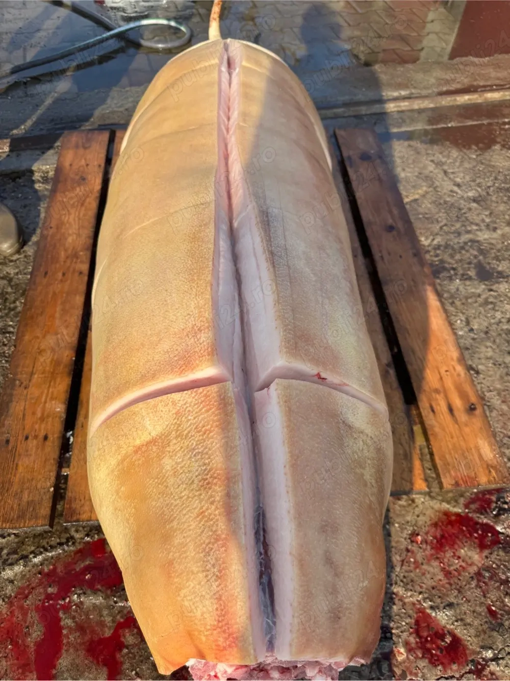 Carne și slănină de porc   crescute în gospodărie, natural!