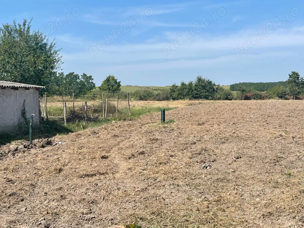Teren intravilan 2.200 mp, parcelabil   utilități, drum asfaltat + proiect casă inclus   Hodoș
