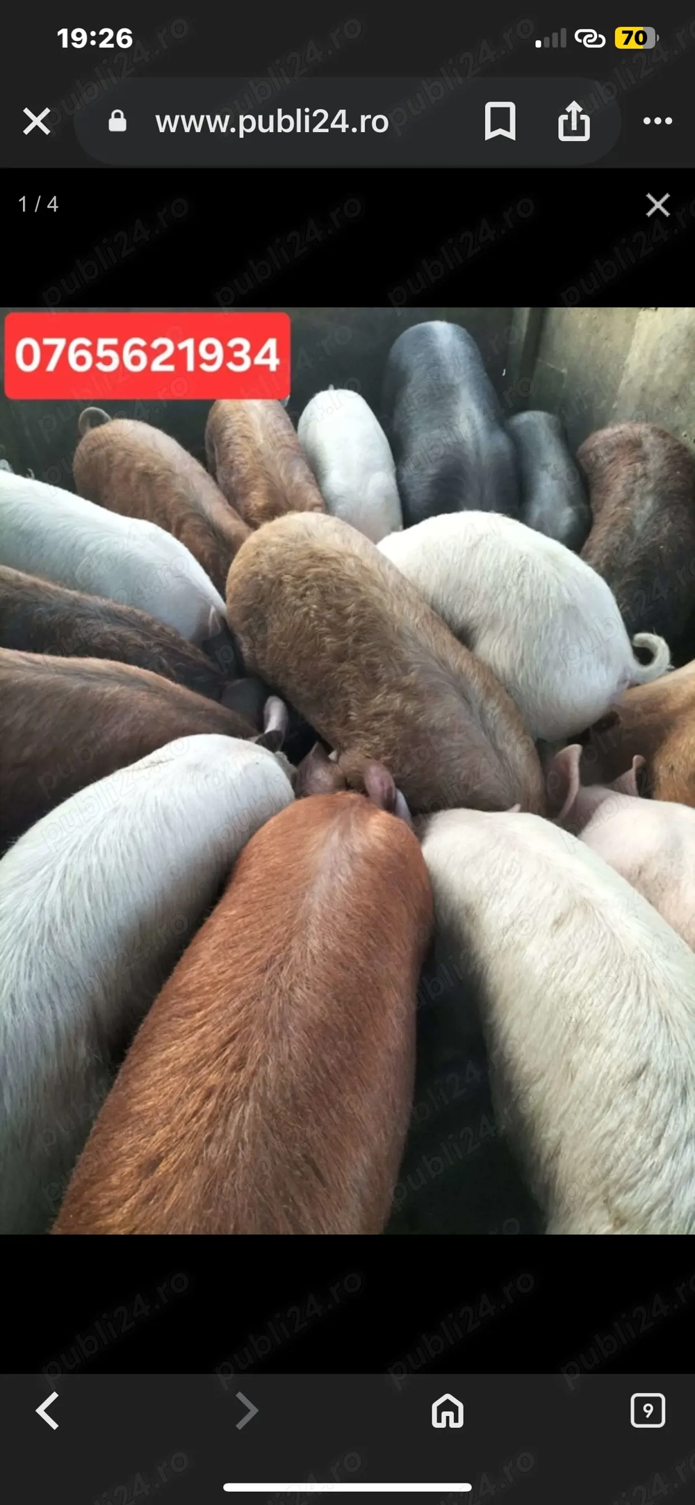 Vand sau schimb vw golf 4 