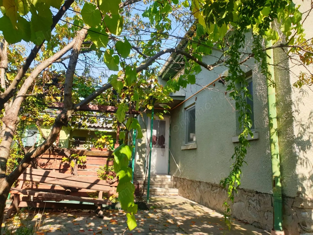 Casa Individuala Mehala 
