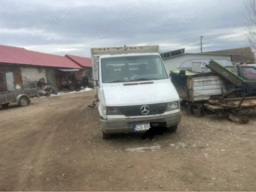 vand sau schimb cu animale