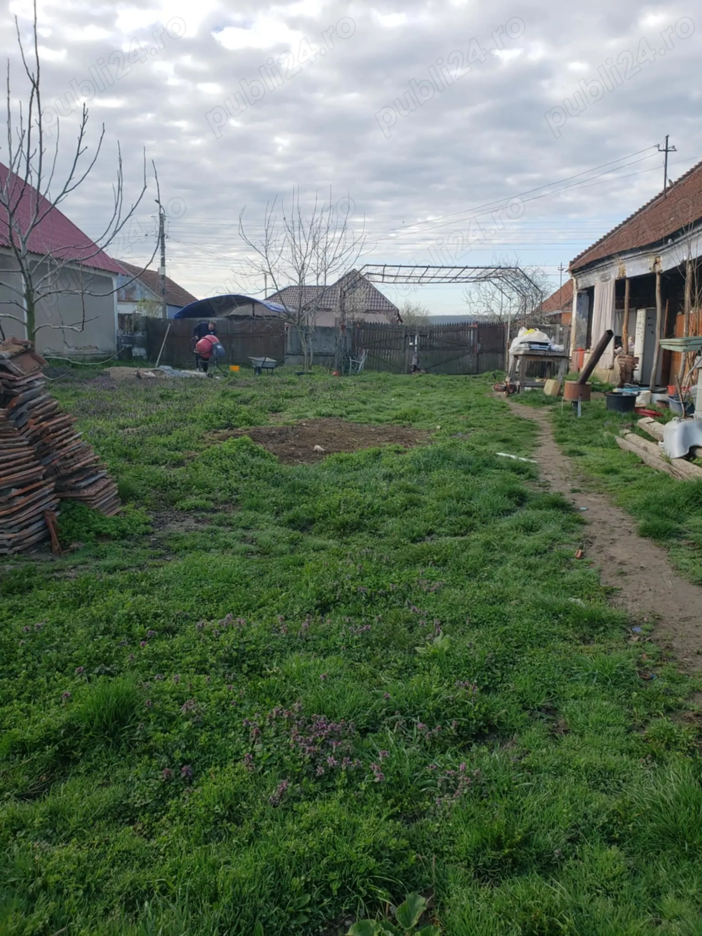 Vând casă cu pământ și livadă 