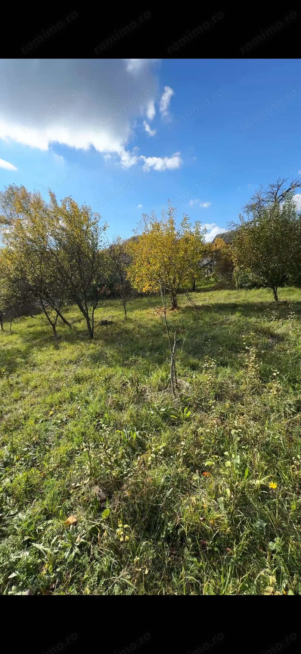 Teren intravilan Cucuteni Dambovita 