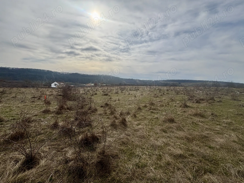 Teren intravilan de vânzare   802 mp   zona Salciua   Herneacova