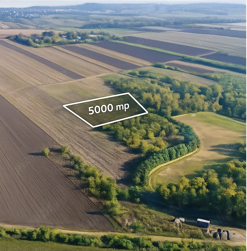 Teren extravilan 5000mp Proselnici Miroslava   acte complete, lângă Eden Park