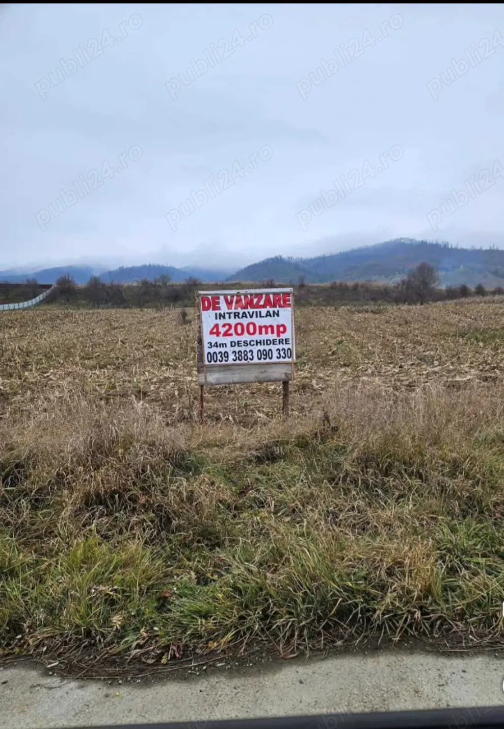 Teren intravilan sat lunca (vanatori neamt)