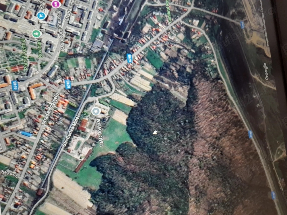 Teren forestier-padure