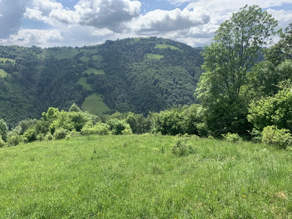 Oportunitate, teren la munte in Apuseni 3,2 ha posibilitate RATE