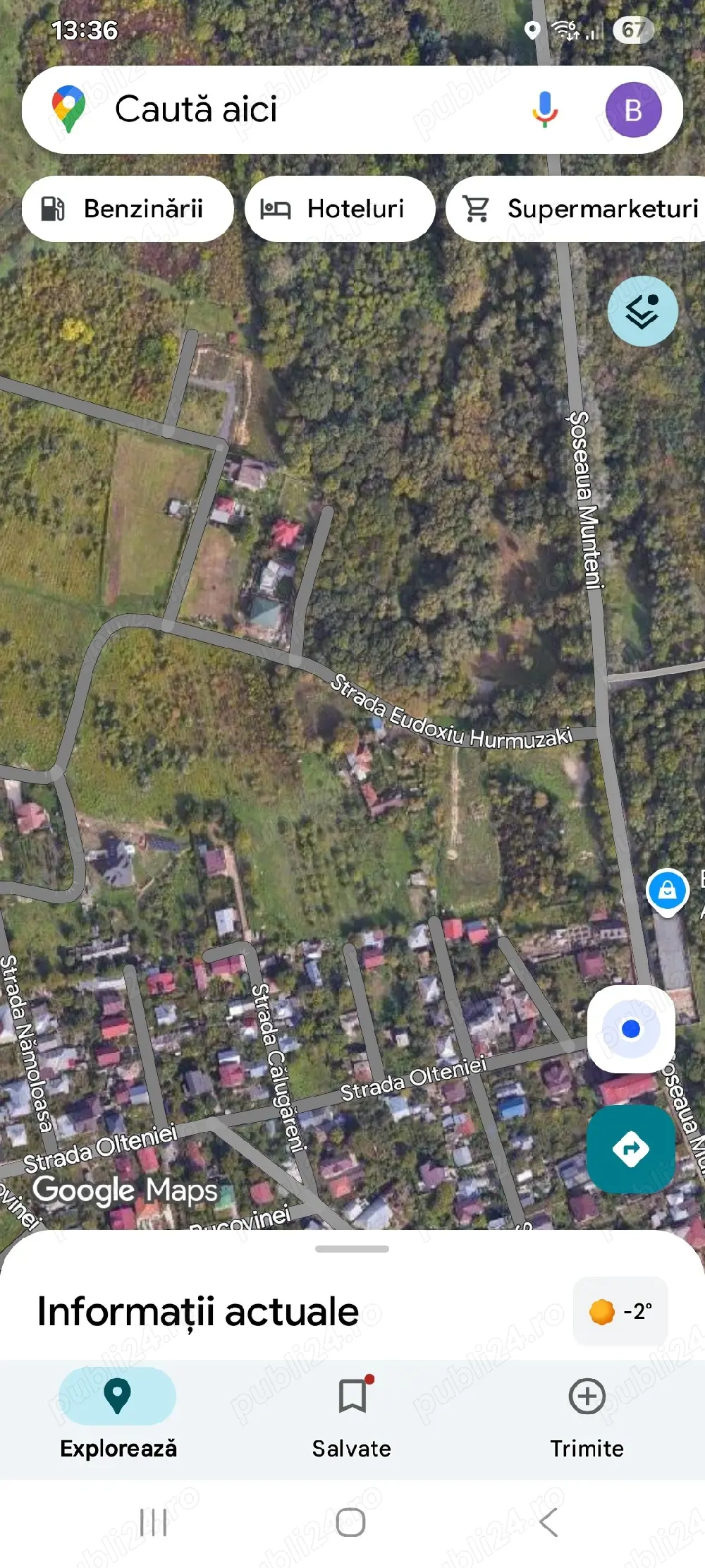 teren copou -gradina botanoca