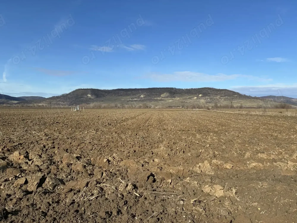 Teren agricol de vînzare