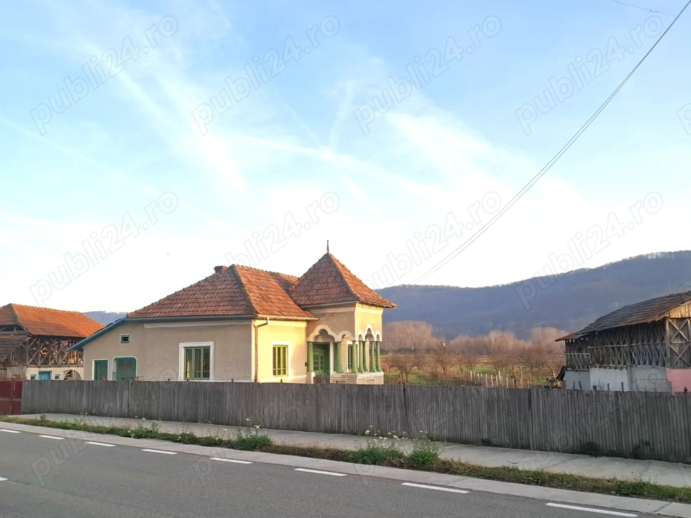 Teren 4.443 mp(intr+extra)+constructii vechi   Nicolae Bălcescu,  Pleșoiu jud Valcea 