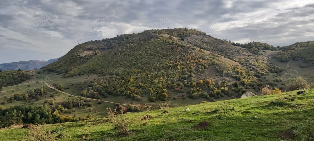 Teren 10.000 mp- Zonă Montană Sălbatică (Valea Mare Pravăț-AG) , Panoramă Iezer-Păpușa