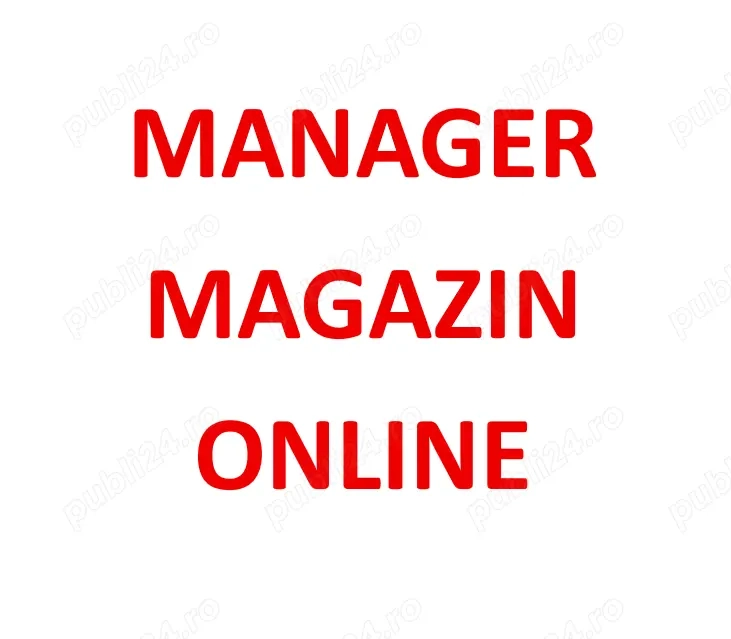 Manager Magazin Online de tip market place
