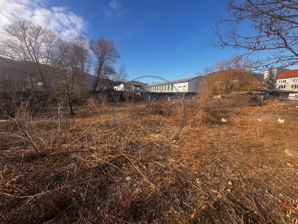 Teren + Clădire în Viișoara