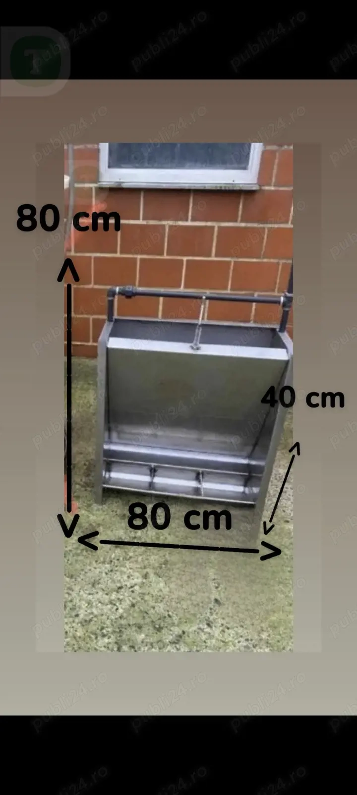 Hranitori porci mari și purcei    