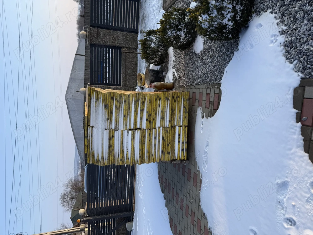 Vand panouri cofraj si betoniera