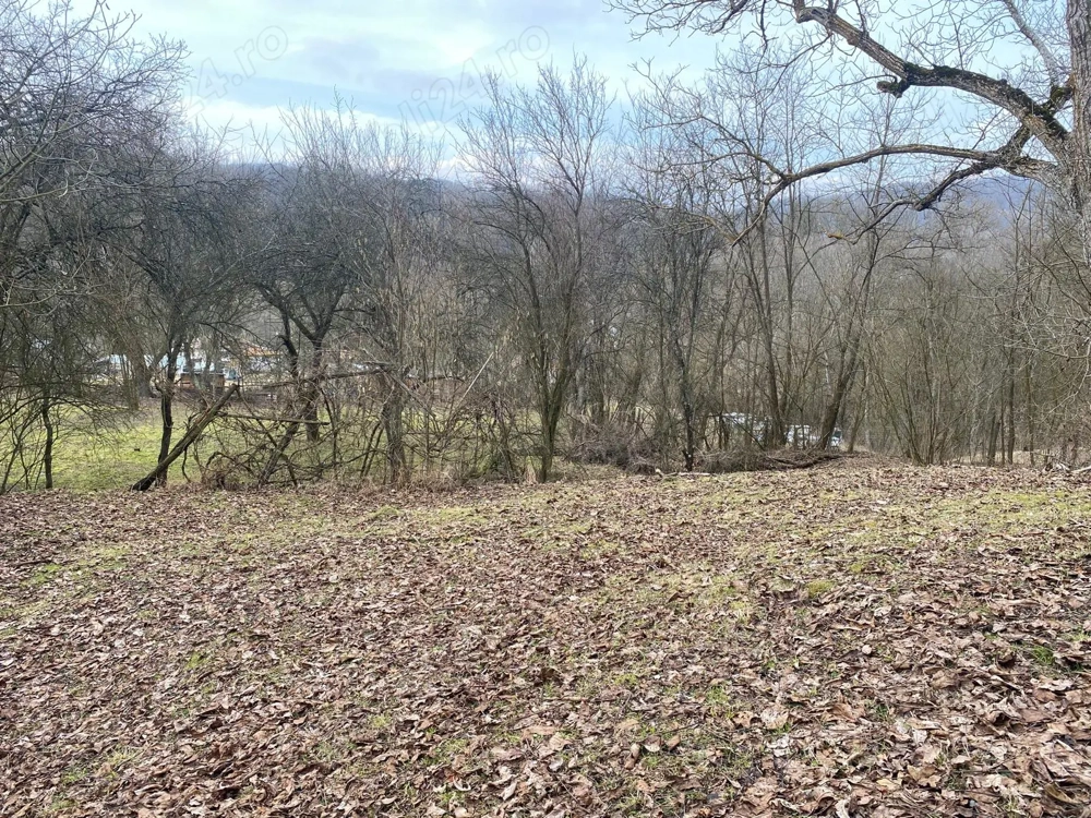 Vanzare casa si teren comuna Valea Lungă - Cricov, jud. Dâmbovița