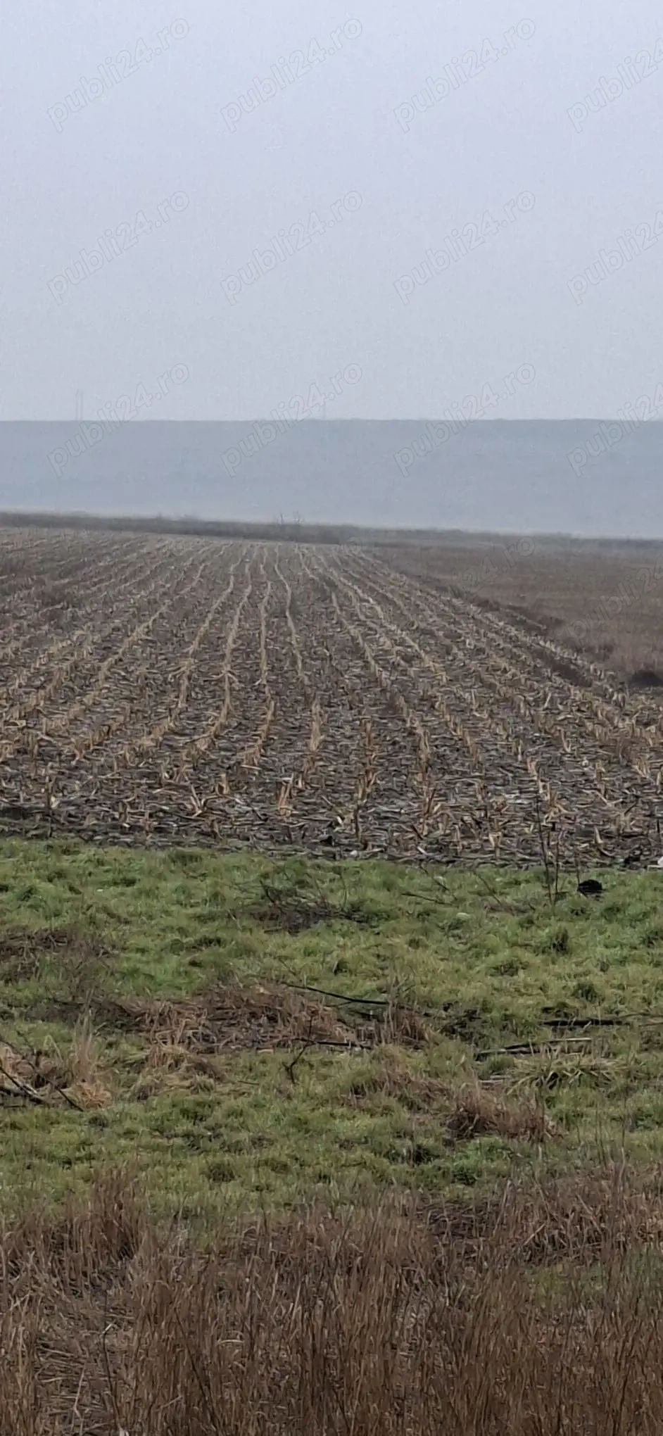 Teren de vânzare 