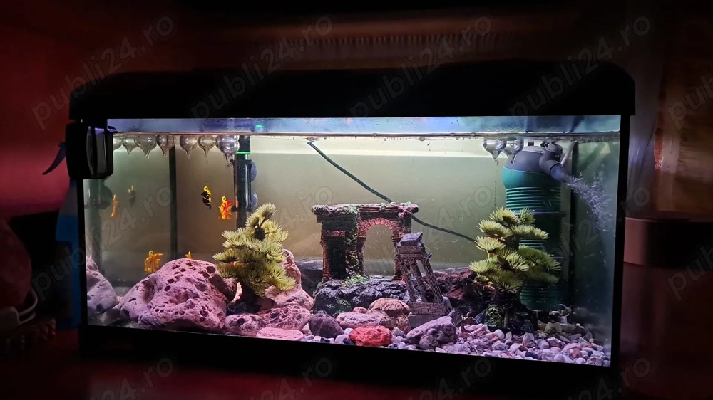 Vand urgent acvariu de 60L complet echipat. Acvariul se vinde cu tot ce se vede in poza.