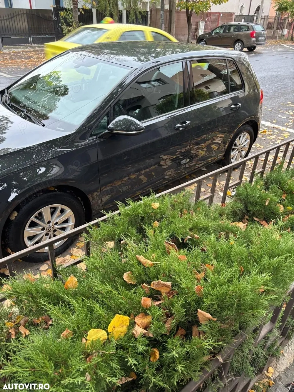 vand Volkswagen Golf 1.0 TSI Trendline (2  km   13.200  