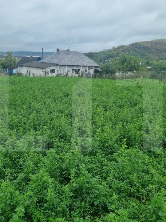 Casa bătrânească + Teren 1.666 mp intravilan, la 8 km de Botoșani – teren drept