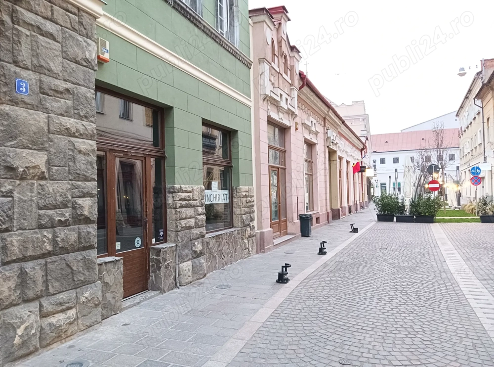 Dau in chirie spatiu comercial in zona pietonala