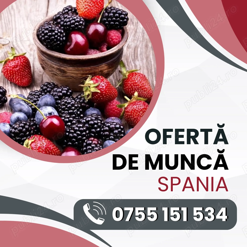 Locuri de muncă în SPANIA (zona Huelva) Cules de CĂPȘUNI, AFINE, ZMEURĂ