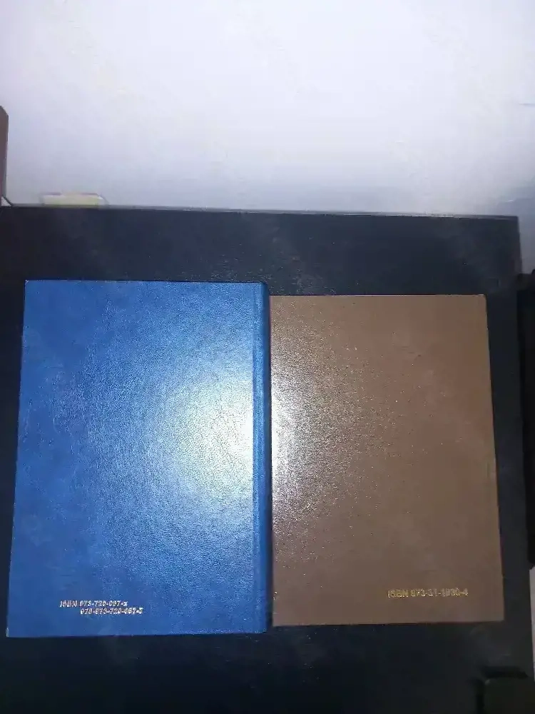 Lot 2 carti Managementul Energiei si Principii de Management Energetic, Aureliu Leca 