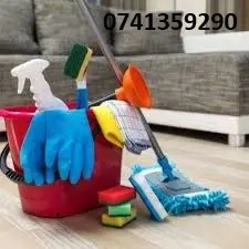 Servicii curatenie Timisoara si Arad