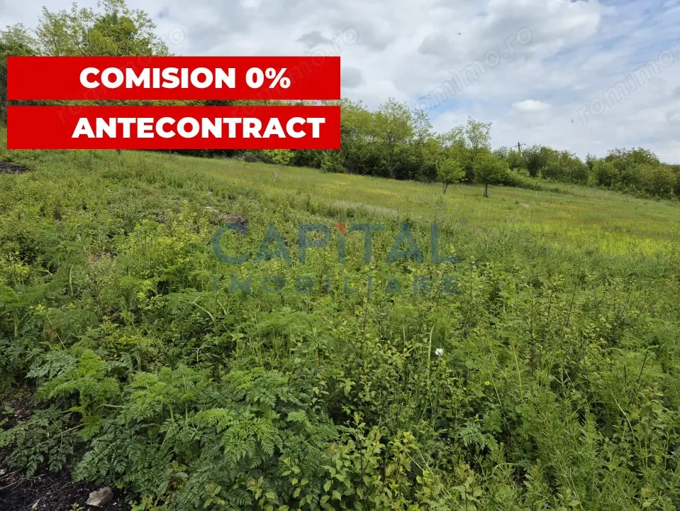 Teren intravilan, 1663 mp, central Dezmir