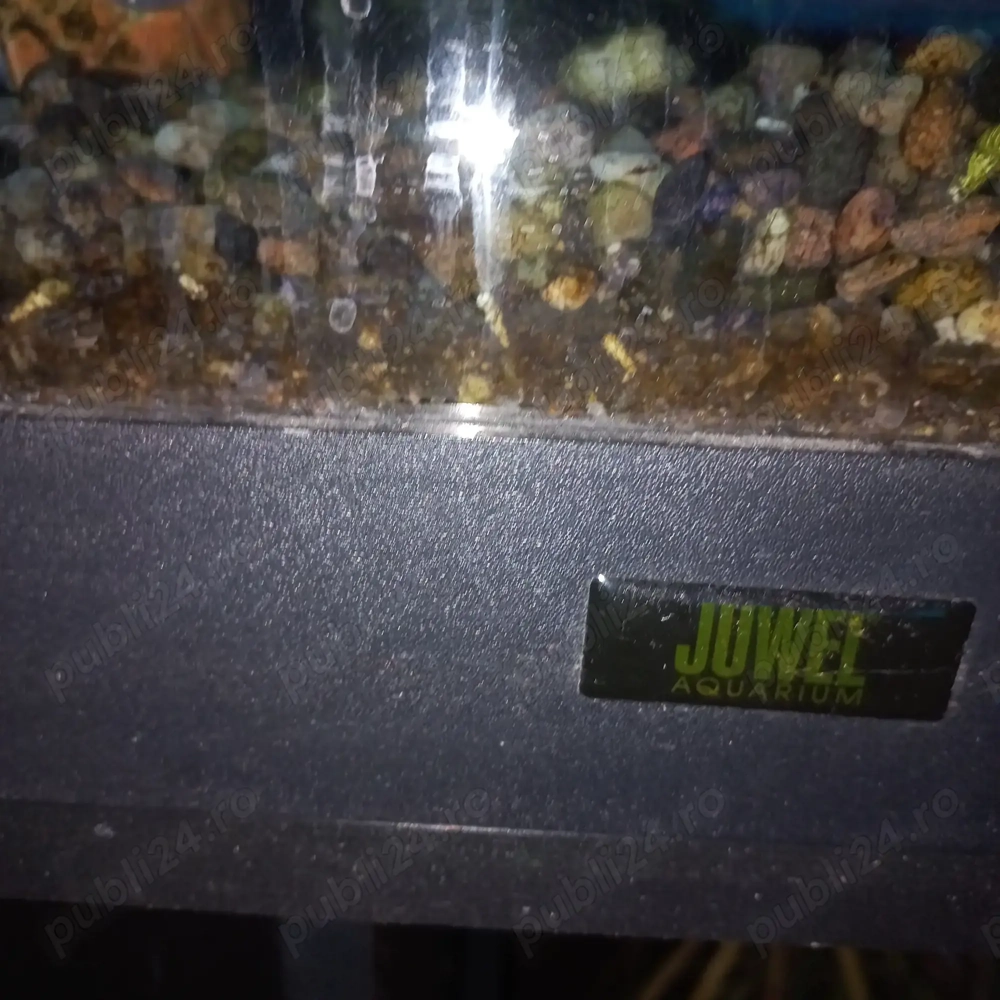 Acvariu Juwel