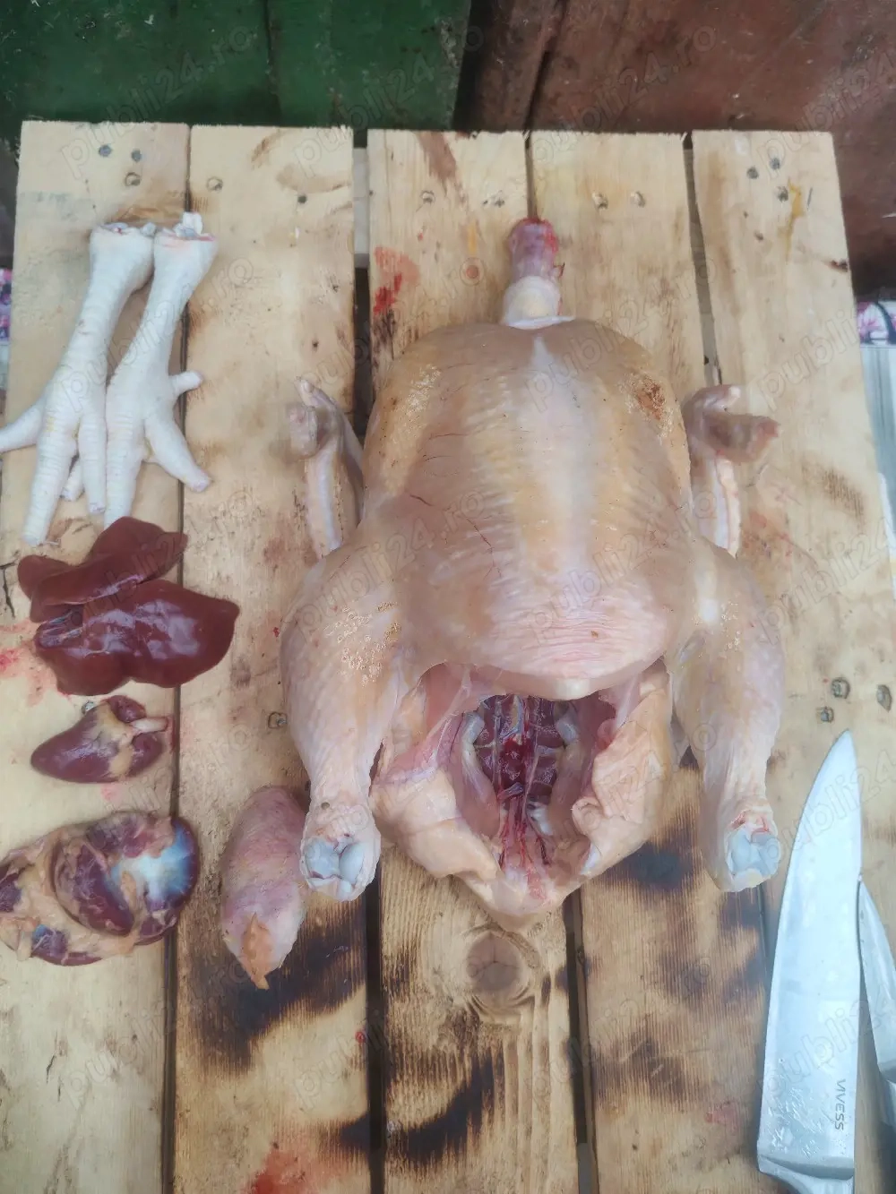 Vand pui de carne crescuti bio 30 lei kg taiat 