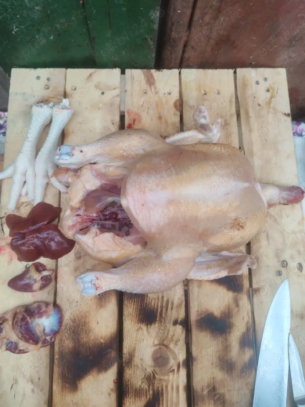 Vand pui de carne crescuti bio 30 lei kg taiat