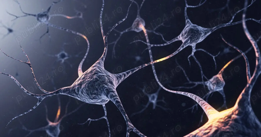 Faci testul si primesti 150 lei pe loc in Bucuresti