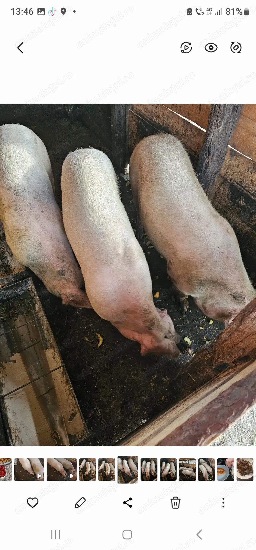 Schimb sau vand cu lemne sau boabe