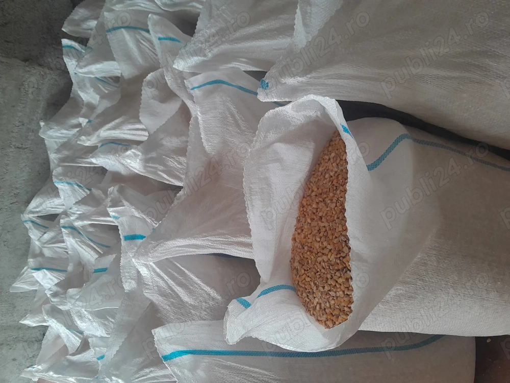 De vânzare grăunte, 1 leu kg,sunt puse în saci.