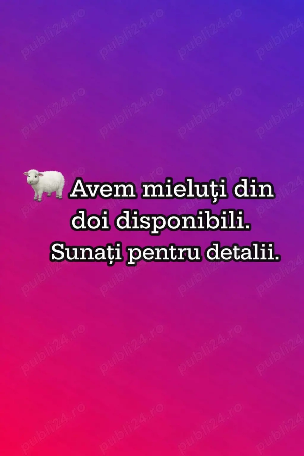 vând mieluți carabasi din doi 