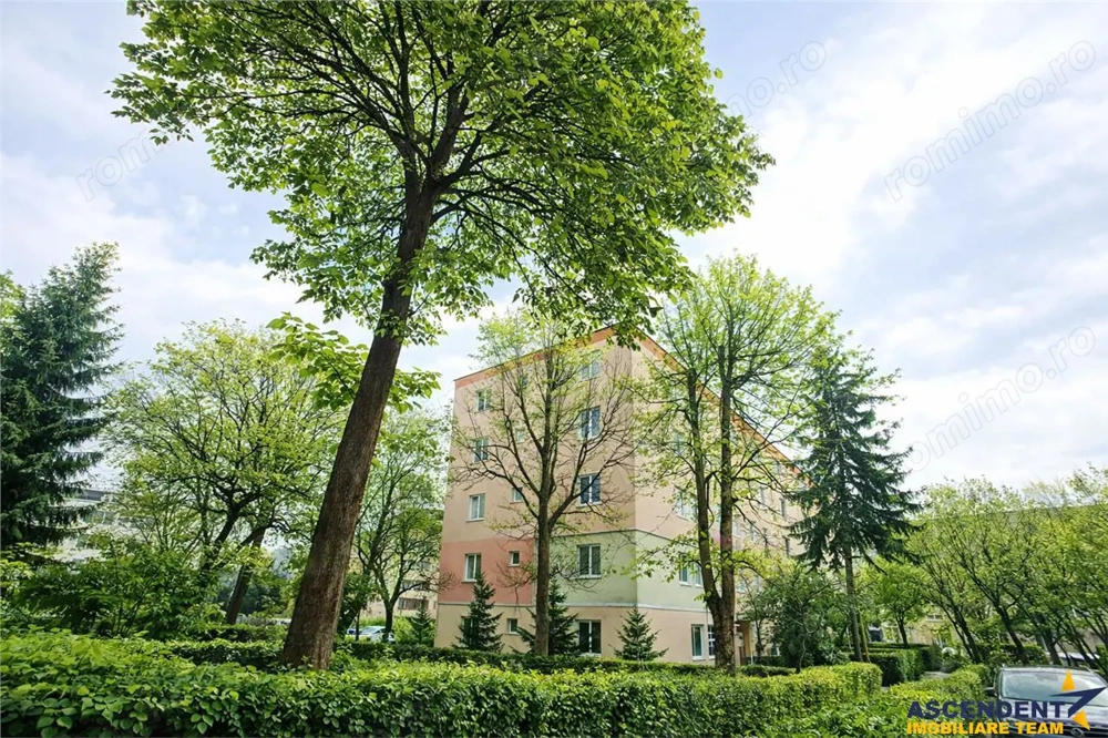 Cartierul Florilor, imobil renovabil, etaj intermediar, zona linistita, Brasov