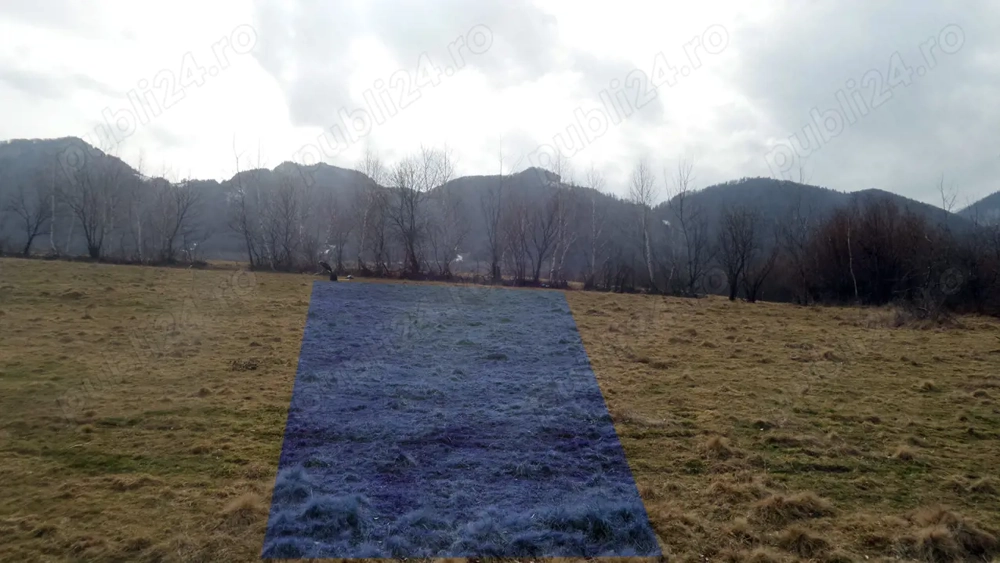 Teren Intravilan - Mirific Tohanita (Bran region)