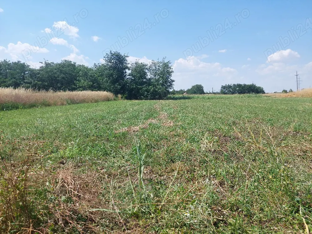 vand teren intravilan 