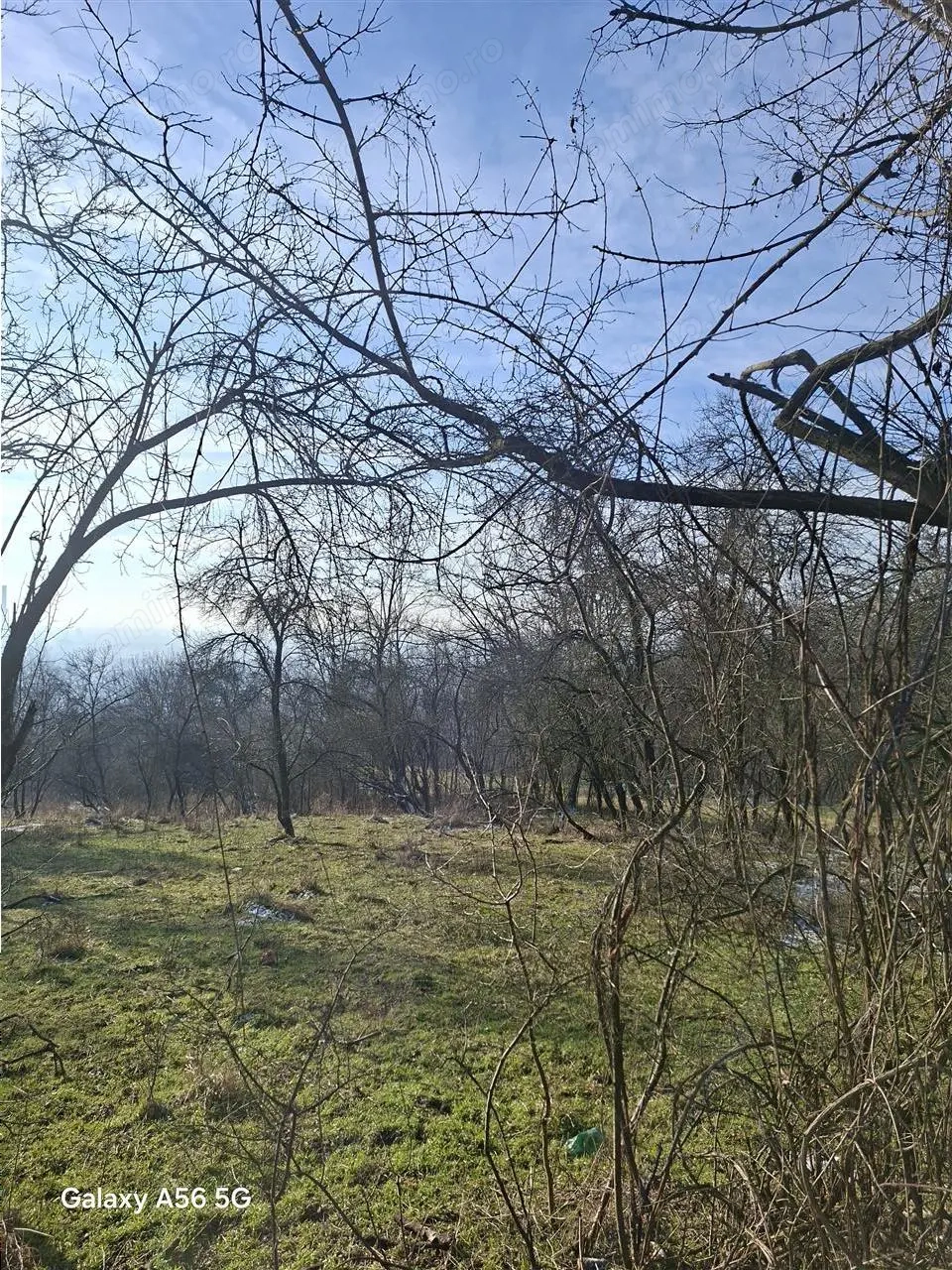 Teren intravilan Cazanesti, la 8 km de oras